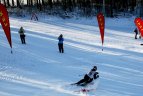 "Žalgirio" žaidynių ir LEKI taurės slalomo milžino varžybos.