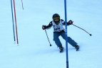 "Žalgirio"žaidynių ir LEKI taurės slalomo varžybos.