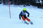 "Žalgirio"žaidynių ir LEKI taurės slalomo varžybos.