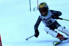 "Žalgirio"žaidynių ir LEKI taurės slalomo varžybos.