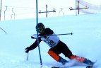 "Žalgirio"žaidynių ir LEKI taurės slalomo varžybos.