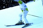 "Žalgirio"žaidynių ir LEKI taurės slalomo varžybos.