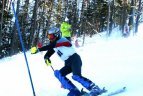 "Žalgirio"žaidynių ir LEKI taurės slalomo varžybos.