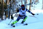 "Žalgirio"žaidynių ir LEKI taurės slalomo varžybos.