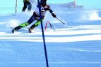 "Žalgirio"žaidynių ir LEKI taurės slalomo varžybos.