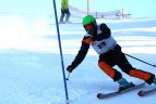 "Žalgirio"žaidynių ir LEKI taurės slalomo varžybos.