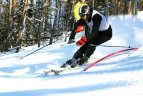 "Žalgirio"žaidynių ir LEKI taurės slalomo varžybos.