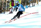 "Žalgirio"žaidynių ir LEKI taurės slalomo varžybos.