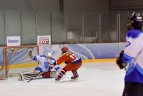 Nacionalinės ledo ritulio lygos komandų rungtynės