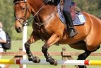 Pasaulio čempionatas. Moterų finalas.