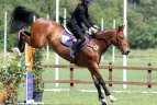 Pasaulio čempionatas. Moterų finalas.