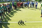 Žolės riedulio festivalis „Žolės riedulys – sportas visiems“.