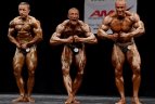 XXXII atvira čempionatas Kaune.