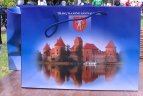 Savaitgalį Trakuose varžėsi irkluotojai