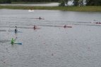 "Galvės regata".
