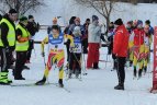 Lietuvos sporto draugijos "Žalgiris" žiemos žaidynių slidinėjimo varžybos Ignalijoje