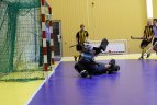 Lietuvos vyrų uždarų patalpų riedulio čempionatas.