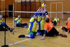 Kaune varžėsi neįgalieji tinklininkai