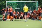 2013 m. Lietuvos jaunių U-18 (vaikinų) žolės riedulio pirmenybės.
