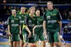 Krepšinis 2013.