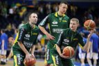 Krepšinis 2013.