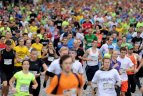 Vilniaus maratonas 2013.