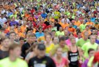 Vilniaus maratonas 2013.