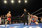 Bušido „HEROE'S“ Vilniuje