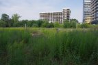 Vilniaus „Geležinis vilkas“ kelią naujam gyvenimui Verkių stadioną.