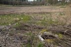 Vilniaus „Geležinis vilkas“ kelią naujam gyvenimui Verkių stadioną.