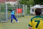 „Vilnius World Cup 2014“.