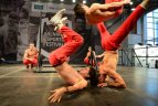 Vilniaus miesto sporto festivalis. Pirmoji diena.