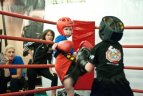 Lengvo kontakto kikbokso turnyras „Royal Future Stars“ Vilniuje.