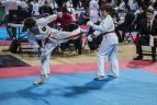 XXI Baltijos šalių karatė klubų čempionatas Panevėžyje