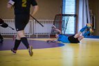 Lietuvos vyrų uždarų patalpų žolės riedulio čempionatas.