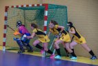 Lietuvos moterų žolės riedulio čempionato B diviziono 7-8 turų rungtynės.
