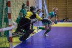 Lietuvos moterų žolės riedulio čempionato B diviziono 7-8 turų rungtynės.