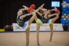 Meninės gimnastikos turnyras Vilniuje