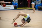 Meninės gimnastikos turnyras Vilniuje