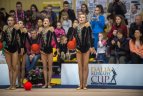 Meninės gimnastikos turnyras Vilniuje