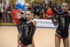 Meninės gimnastikos turnyras Vilniuje