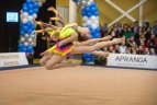 Meninės gimnastikos turnyras Vilniuje