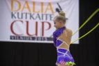 Meninės gimnastikos turnyras Vilniuje