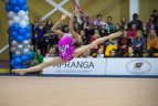 Meninės gimnastikos turnyras Vilniuje