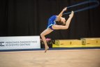 Meninės gimnastikos turnyras Vilniuje
