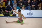 Meninės gimnastikos turnyras Vilniuje