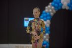 Meninės gimnastikos turnyras Vilniuje