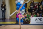 Meninės gimnastikos turnyras Vilniuje