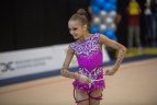 Meninės gimnastikos turnyras Vilniuje
