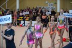 Meninės gimnastikos turnyras Vilniuje